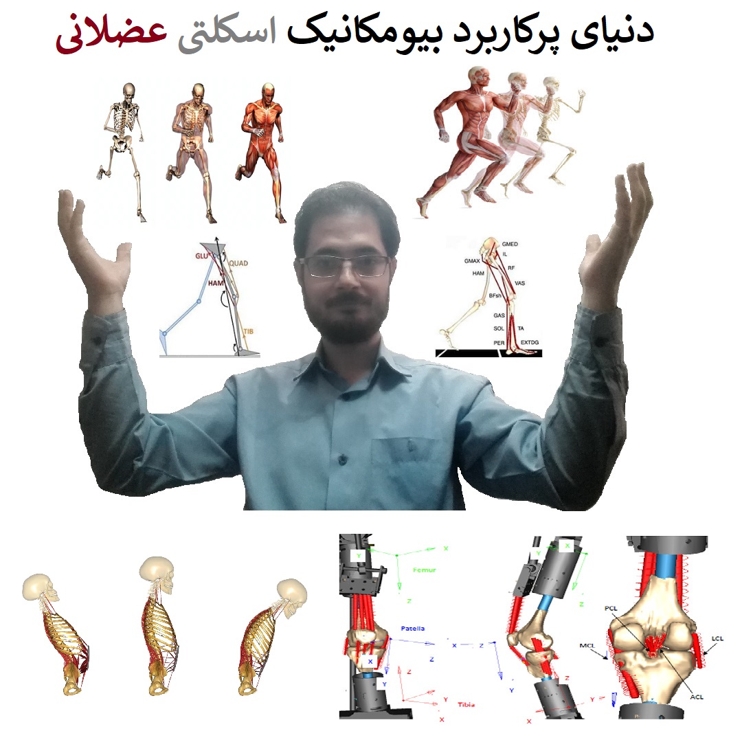 دنیای جذاب و پرکاربرد بیومکانیک